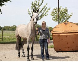 broodmare Bonnie G (Holsteiner, 2009, from Cassini I)