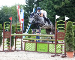 jumper Comme La Lune (Swiss Warmblood, 2015, from Comme il Faut)