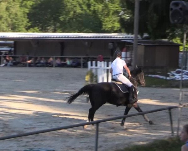 43. Drei-Länder-Challenge 2015