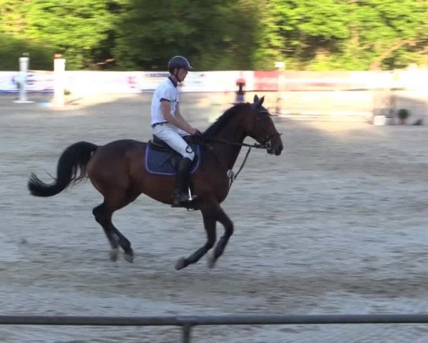 43. Drei-Länder-Challenge 2015