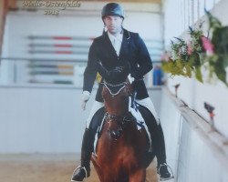 dressage horse Strahlemann (Hanoverian, 2012, from Surprice)