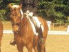 dressage horse Robby Lee 3 (Hanoverian, 2001, from Recaro)