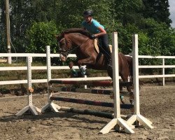 dressage horse Muneerah (German Riding Pony, 2013, from Venustas Crazy Boy)