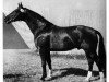 stallion Duft II (Hanoverian, 1958, from Duellant)