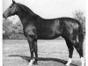 stallion Glander (Hanoverian, 1966, from Grande)