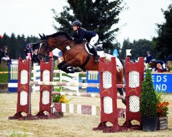 jumper Hejboj (Polish Warmblood, 2010, from Herbur)