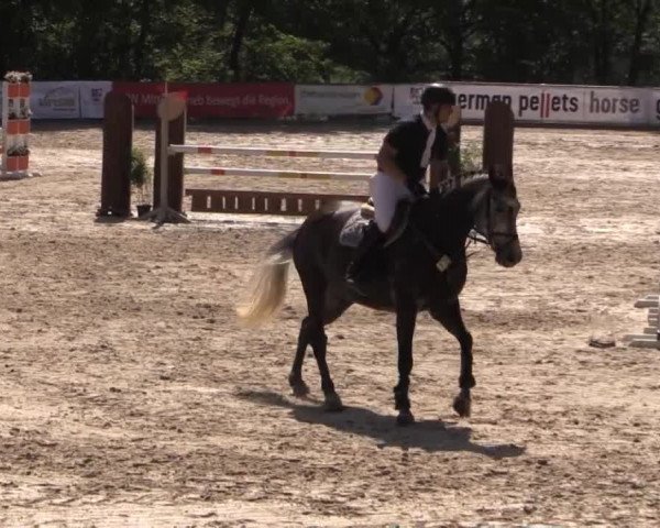 43. Drei-Länder-Challenge 2015