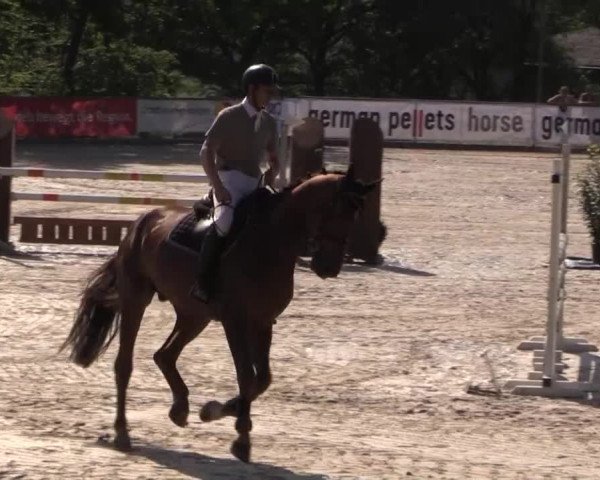 43. Drei-Länder-Challenge 2015