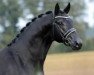 stallion De Valier (Hanoverian, 2010, from Desperados FRH)