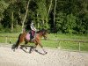 dressage horse Classic Claire 2 (German Riding Pony, 2012, from Classic Dancer I)