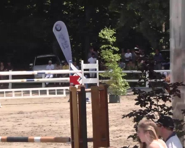 Reitturnier Nordstetten-Horb 2015