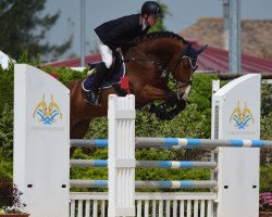 jumper Acanto 9 (Oldenburg show jumper, 2010, from Acantus)