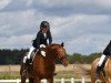 dressage horse Fleur de lis 14 (Oldenburg, 2010, from Fidertanz)