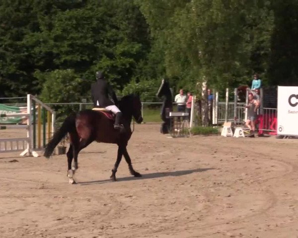 Höhr-Grenzhausen 2015