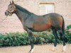 stallion Esprit du Nord xx (Thoroughbred, 1980, from Lyphard xx)