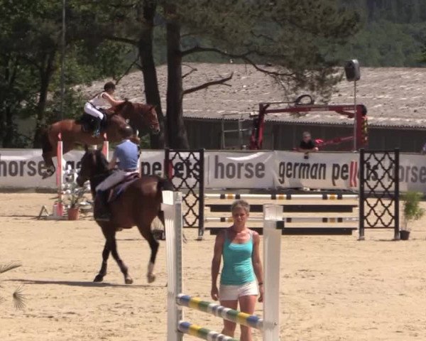 43. Drei-Länder-Challenge 2015