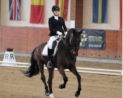 dressage horse Smirnoff 3 (Hanoverian, 2007, from Sir Donnerhall I)