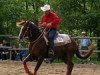 stallion Desperado Cody (Quarter Horse, 1991, from Desperado Malbec)