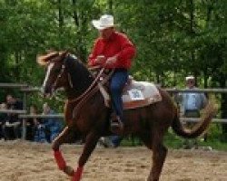 stallion Desperado Cody (Quarter Horse, 1991, from Desperado Malbec)