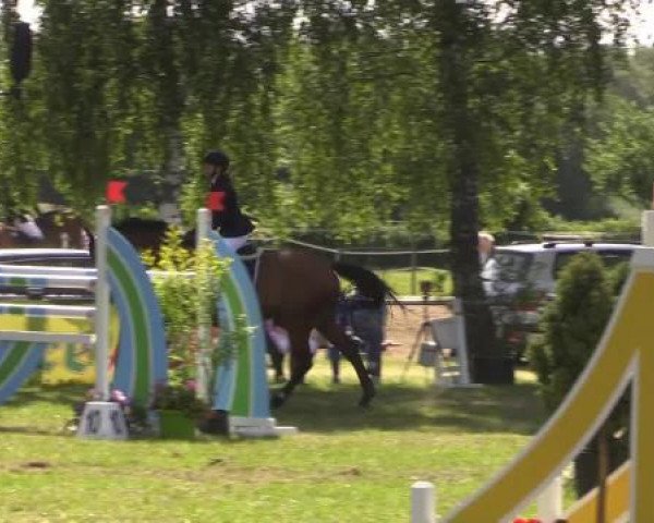 Großes Sommerturnier in Hille 2015
