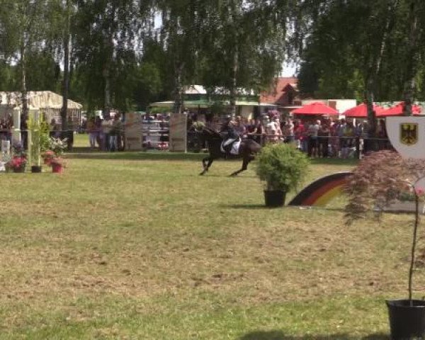 Großes Sommerturnier in Hille 2015