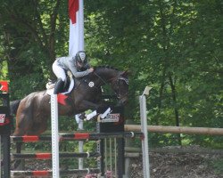 jumper Thyra Saphira (Oldenburg show jumper, 2012, from Semper Fi)