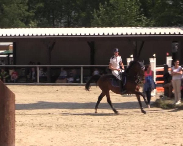 43. Drei-Länder-Challenge 2015
