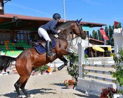 Springpferd Diacondo Zfk CH (Schweizer Warmblut, 2015, von Diatendro)