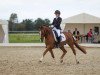 dressage horse Dimitrie Dimitrejev (German Riding Pony, 2006, from Don't Worry Be Happy)