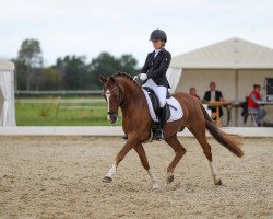 dressage horse Dimitrie Dimitrejev (German Riding Pony, 2006, from Don't Worry Be Happy)