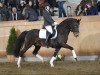 stallion VIP 2 (German Riding Pony, 1996, from Valido)