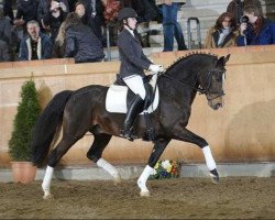 dressage horse VIP 2 (Deutsches Reitpony, 1996, from Valido)