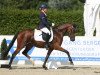 dressage horse Steverheides Nizza (German Riding Pony, 2016, from Fs Numero Uno)