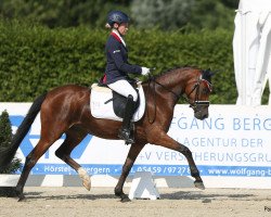 dressage horse Steverheides Nizza (German Riding Pony, 2016, from Fs Numero Uno)