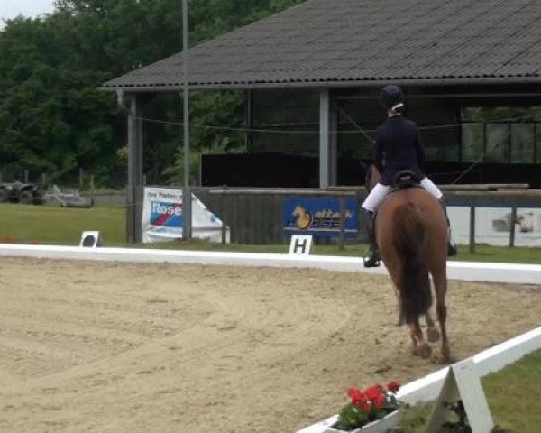 Sommerturnier Lohmar-Hausdorp 2015
