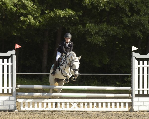 jumper MP Elise (German Riding Pony, 2011, from MP Nina's Boy)