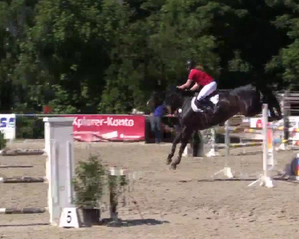 Höhr-Grenzhausen 2015