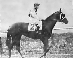 broodmare Cleopatra xx (Thoroughbred, 1917, from Corcyra xx)