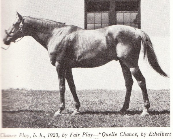 stallion Chance Play xx (Thoroughbred, 1923, from Fair Play xx)