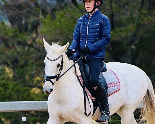 horse Fairbanks Ringo (Oldenburg, 2002, from Royal Diamond)