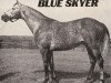 Deckhengst Blue Skyer xx (Englisches Vollblut, 1963, von Promised Land xx)