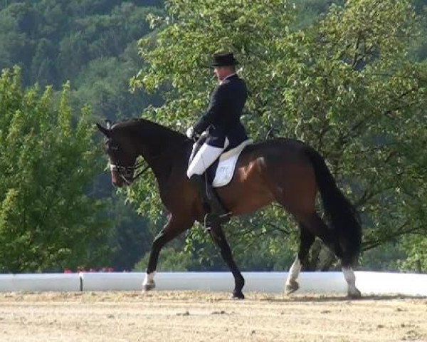 Sommerturnier Lohmar-Hausdorp 2015