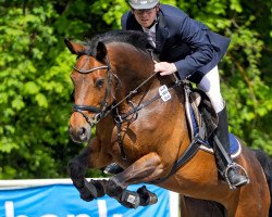 broodmare Lacordiva (Westphalian, 2007, from Lacordos)