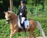 Dressurpferd Day of Future 2 (Deutsches Reitpony, 2007, von FS Don't Worry)