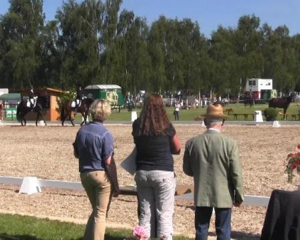 Großes Sommerturnier in Hille 2015