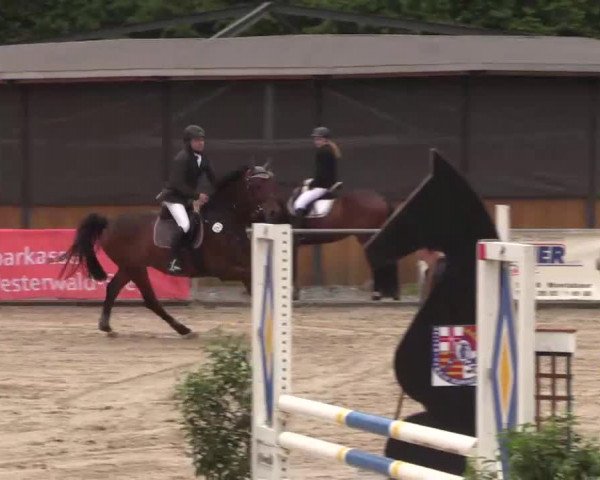 Höhr-Grenzhausen 2015