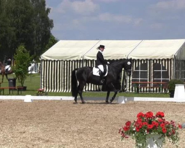 Großes Sommerturnier in Hille 2015