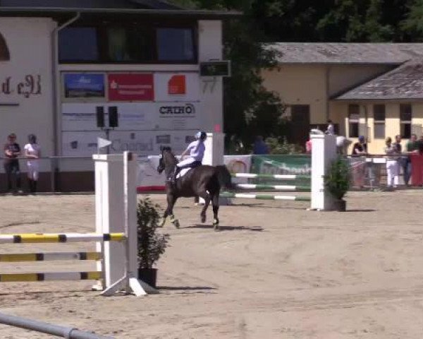 Höhr-Grenzhausen 2015