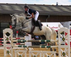 jumper Corbano 4 (German Sport Horse, 2007, from Colman)