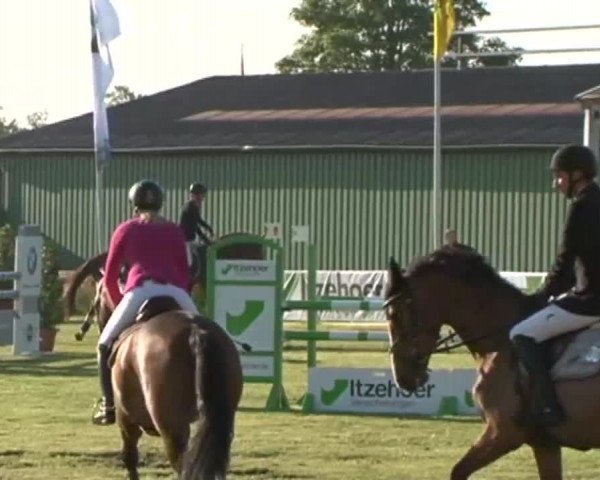 Nord-Ost-Pferd 2015